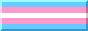 transgender pride flag